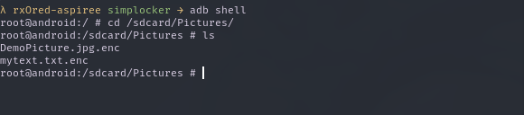 encrypted files